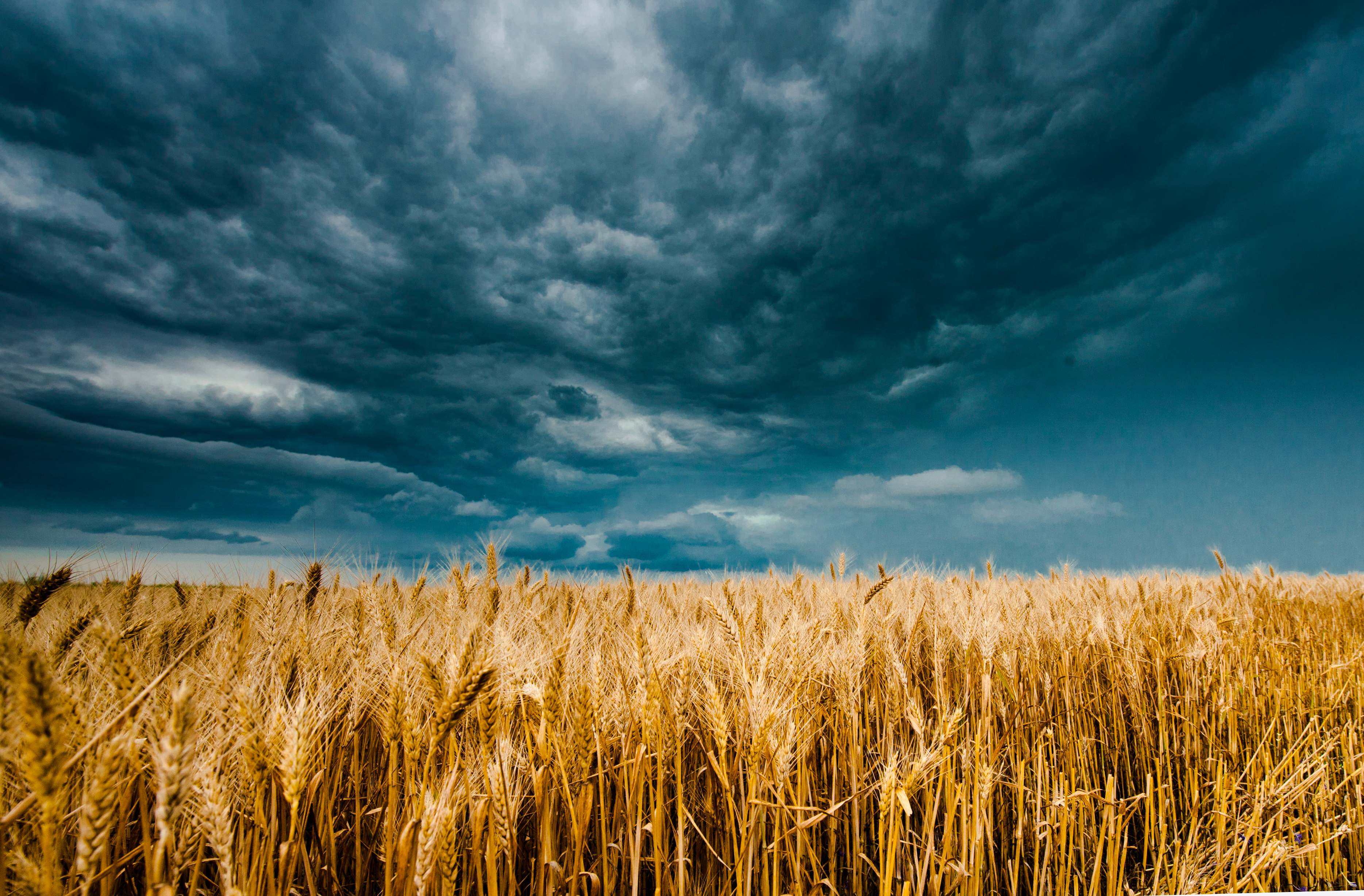 Farmers Union Encouraged by First Step to Address Climate Crisis