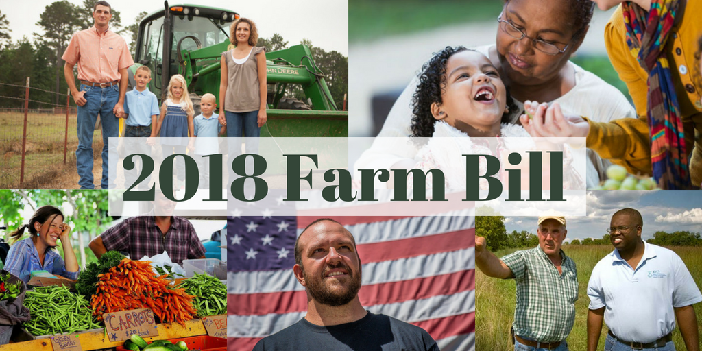 NFU Appreciates Senate Ag Leadership Work on Farm Bill — More Needs to Be Done to Shore Up Farm Safety Net, Says NFU NFU Appreciates Senate Ag Leadership Work on Farm Bill — More Needs to Be Done to Shore Up Farm Safety Net, Says NFU