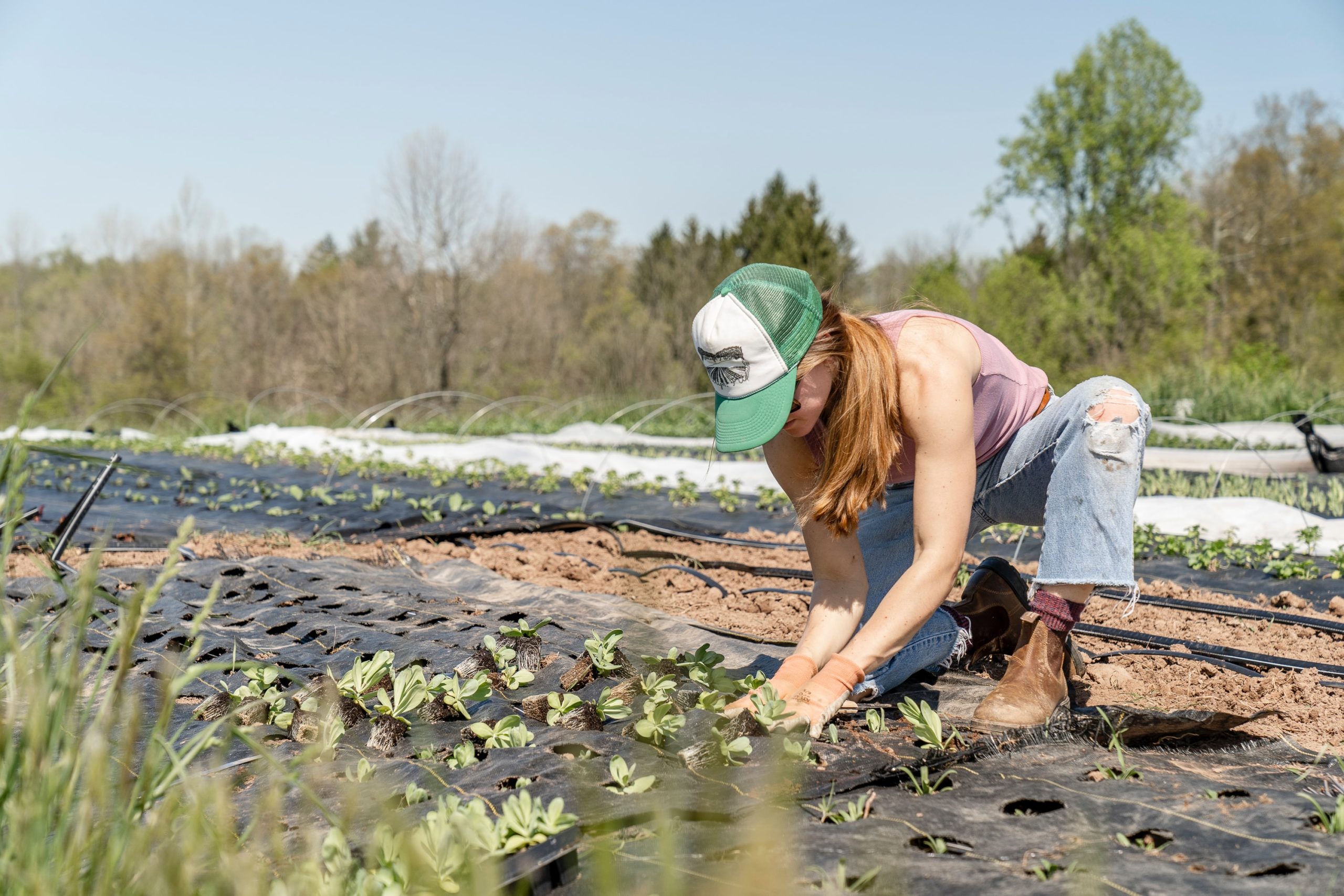 Additional Aid Will Help Farmers Cope with Lingering Effects of Pandemic, Farmers Union Says